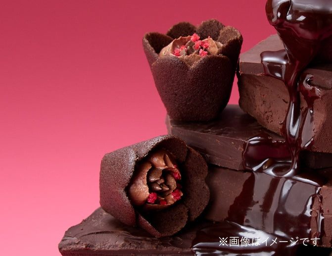 Tulip Rose - 鬱金香玫瑰曲奇